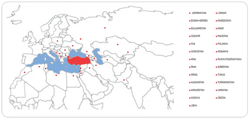 Dünya